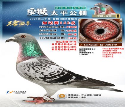 安徽太平加站赛142名