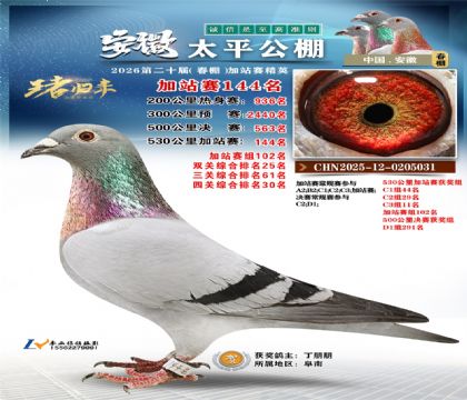 安徽太平加站赛144名