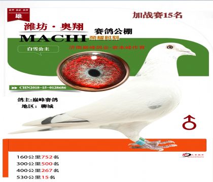 �����վ15����ѩ����VS��������