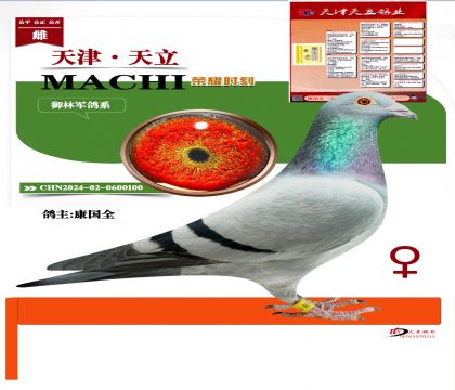 ���־������-���������ҵ��������