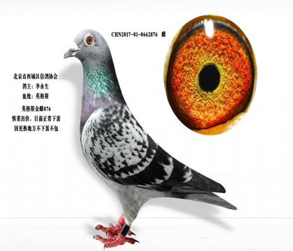 ������Ӣ��˹���876