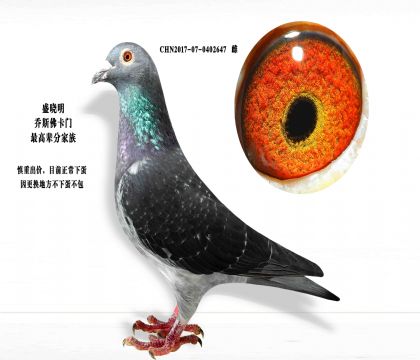 ��˹����