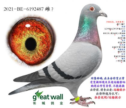 1.Ӣ��˹����.6192487