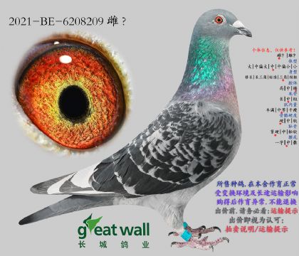 3.������ֱŮ.6208209