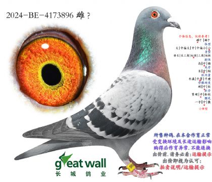 4.��ѻ��ض����.4173896