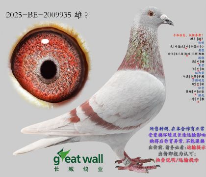 5.ƤҮ������ԭ��.2009935