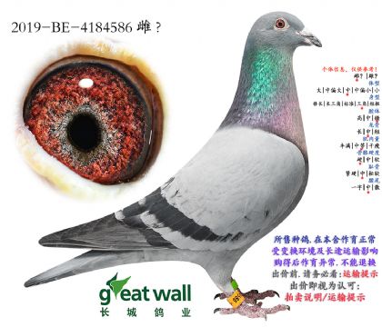 6.��ʱ������x������.4184586