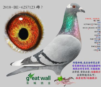 7.��˹��ԭ��.6257123