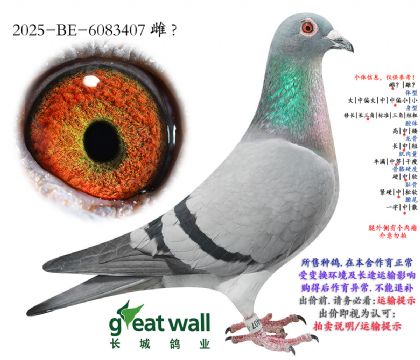 9.Ӣ��˹����7λ�Ӵ�.6083407