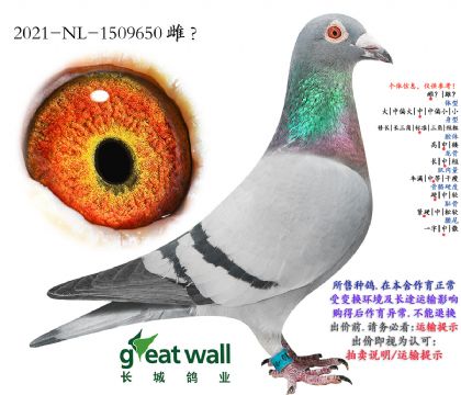 10.�׵�������19��ֱŮ.1509650