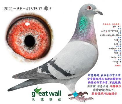 11.�ƽ�����x��ʱ��ȫ��.4153507