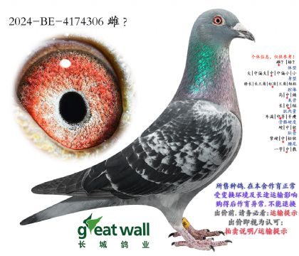 14.��ѻ��ض���Ѫ���.4174306