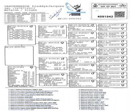 2.�����ֵ�ԭ��.4091942xx