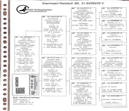 3.������ֱŮ.6208209xx