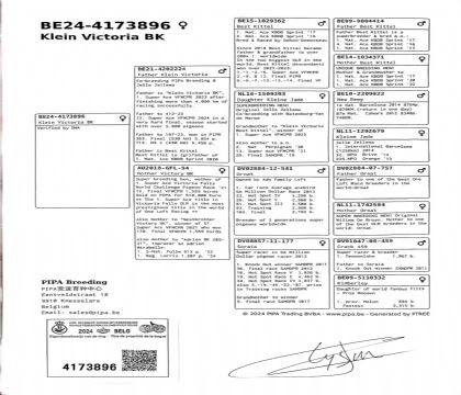 4.��ѻ��ض����.4173896xx