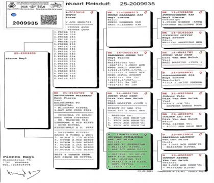 5.ƤҮ������ԭ��.2009935xx