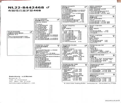 13.�������ǹھ��Ӵ�.8442468x