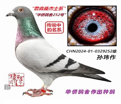 4��--ղɭɣ��ʿϵCHN24-01-0329252��