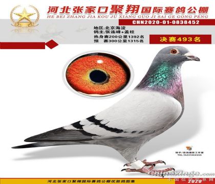 �żҿھ���������빫��500�������493��   ��	