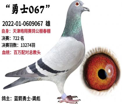 ���������빫�С���500�������722��   ��