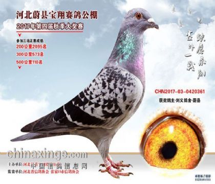 �żҿ�ε�ر��蹫��500�������110��   ��	