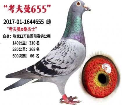 �żҿ���ѹ������빫��500�������66��   ��	