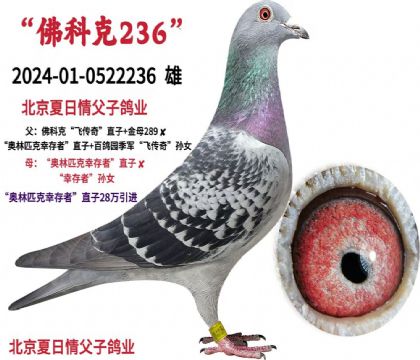 ���������鸸�Ӹ�ҵ---��ƿ�236   ��	