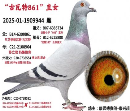 ��ʦ������-���˳�--����944   ��	