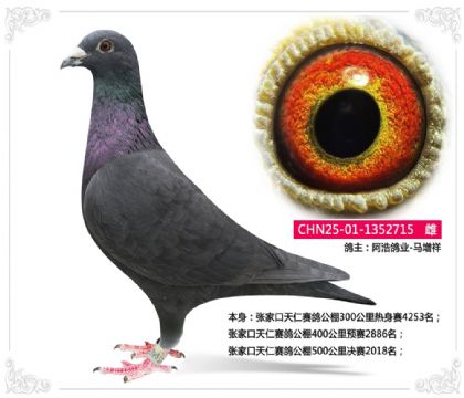 �żҿ��������빫��500�������2018��   ��	