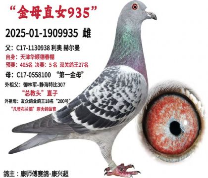 ��ʦ������-���˳�---����X���־�935   ��	