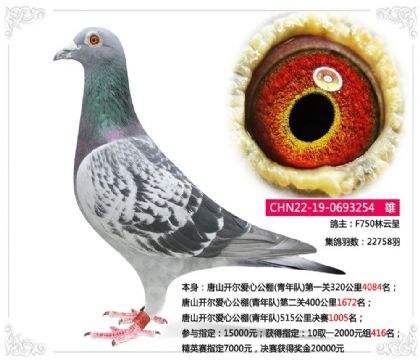 ��ɽ�������Ĺ���(�����)515�������1005��   ��	