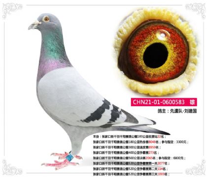 �żҿ���ǧ��ǧ�����빫��520�����������ڶ���114��  ��