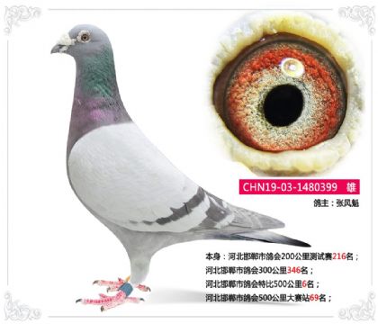 �ӱ������и���ر�500����6��  ��