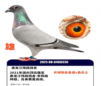 ������ΰ·��ҵ