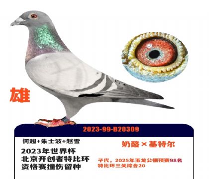 ���籭�����������رȻ�