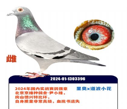 ��ά�ָ�-��Сά