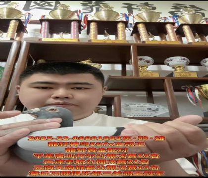 ���������39����X�����