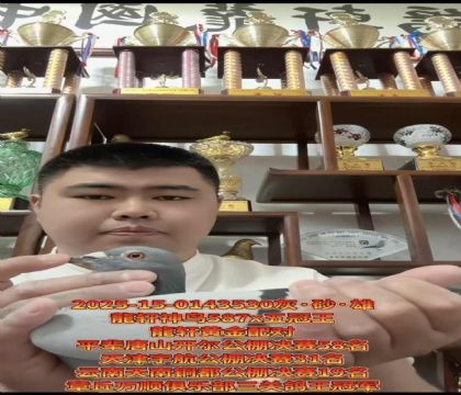 ���������39����X�����