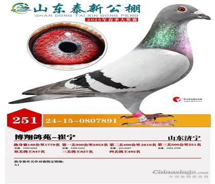 ���Ӵ���Ƭ