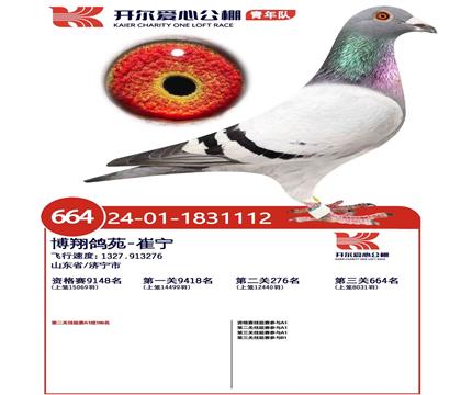 ���Ӵ���Ƭ