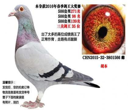 �����ִƣ�����4��������