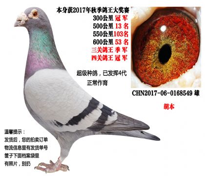 ���������ۣ�ѹ�ᣩ�Ĺظ����ھ���300����ھ���������