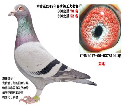 18�괺��500����70����550����52�����Ǳȣ�