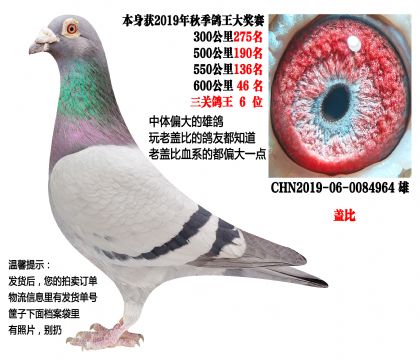 19���＾���ظ���6λ��600����46�����Ǳȣ�