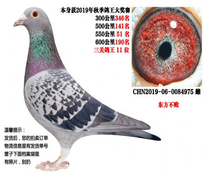 19���＾���ظ���11λ���������ܣ�