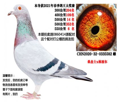 ԭ��ԴƸ룬550����6����ɣ��ʿx�ֲ�����