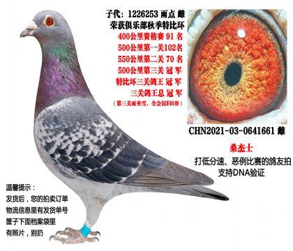 ��ѹ���ص㣩�Ӵ�23���＾���ظ����ܹھ���500����ھ�