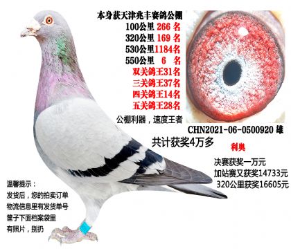 ����׷ṫ���Ĺظ���14λ����ظ���28λ������6��