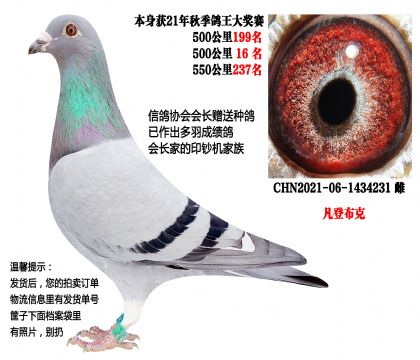 21���＾�����������Э��᳤�����ָ루���ǲ��ˣ�