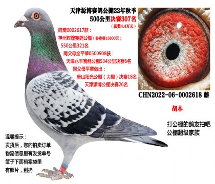 ���Դ���������307������4.4�򣩹������ʵս����